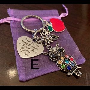 💞3for$20💞Teacher Keychain (Various Owl Design)